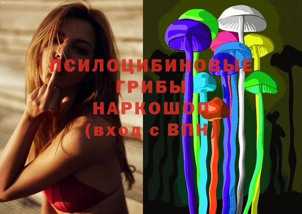 ГАЛЛЮЦИНОГЕННЫЕ ГРИБЫ Алзамай
