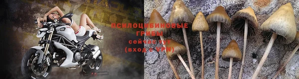 ECSTASY Алексин