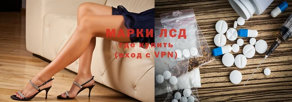 ГАЛЛЮЦИНОГЕННЫЕ ГРИБЫ Алзамай