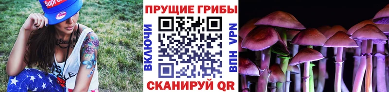 Псилоцибиновые грибы Cubensis Суровикино